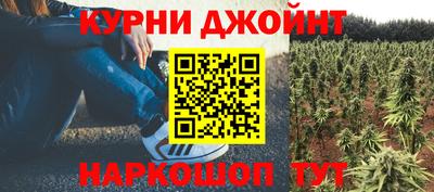 мет Можга