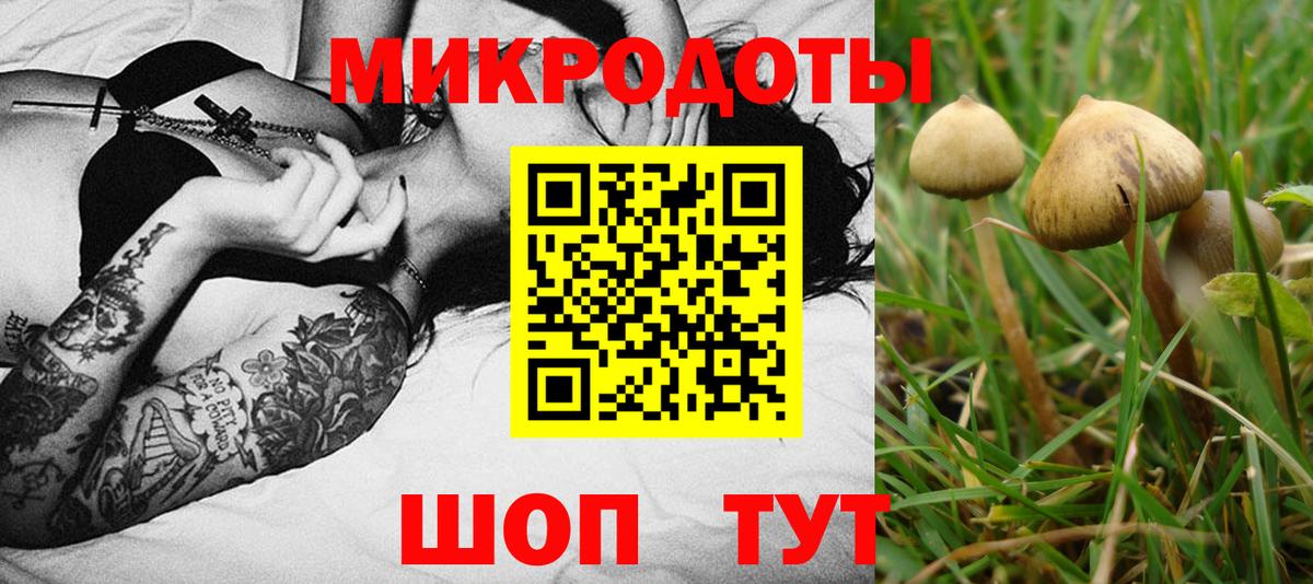 Галлюциногенные грибы прущие грибы  продажа наркотиков  Владивосток  Галлюциногенные грибы прущие грибы  Вход с VPN 