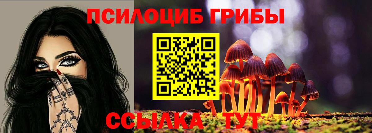 Псилоцибиновые грибы MAGIC MUSHROOMS Владивосток