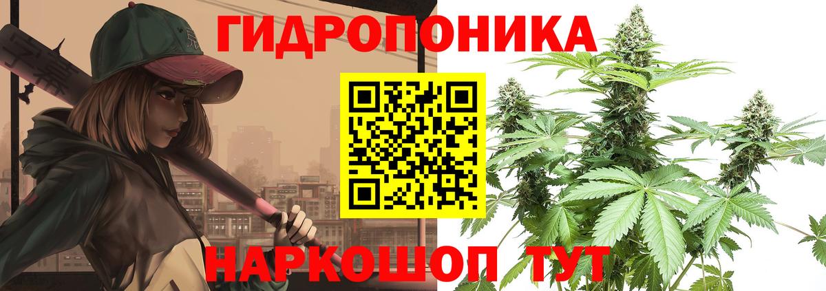 Канабис Amnesia  Конопля конопля  Вход с VPN  Каннабис тримм  Владивосток 